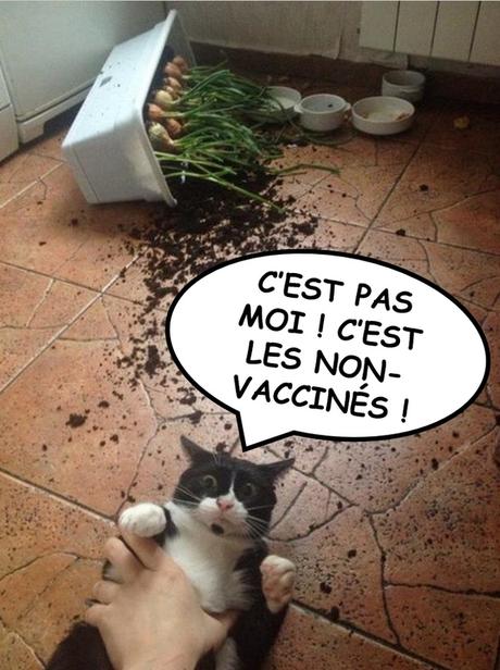 Une responsabilité à géométrie variable