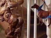 responsabilité géométrie variable