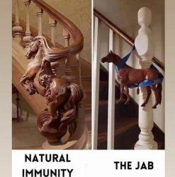 Une responsabilité à géométrie variable