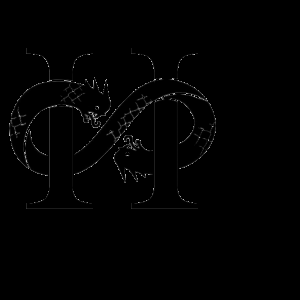 Flowers of Vincent de Cherriuki