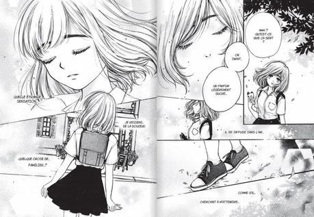 Flowers of Vincent de Cherriuki