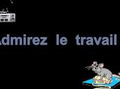 Divers Admirez travail