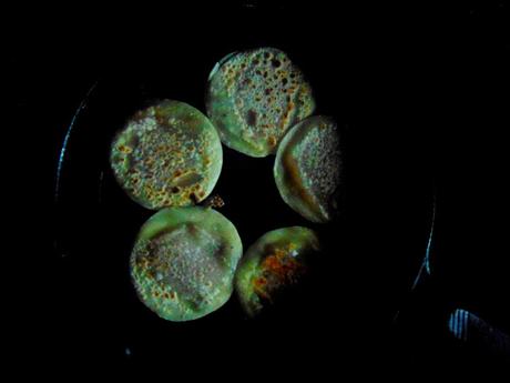 Dumplings au beurre de pomme