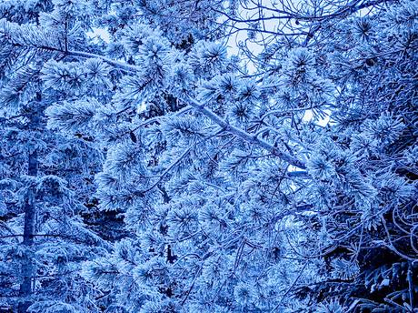 25 Fotos  Mittenwald — Lautersee — Ferchensee — Laintal — 4. Advent 2021