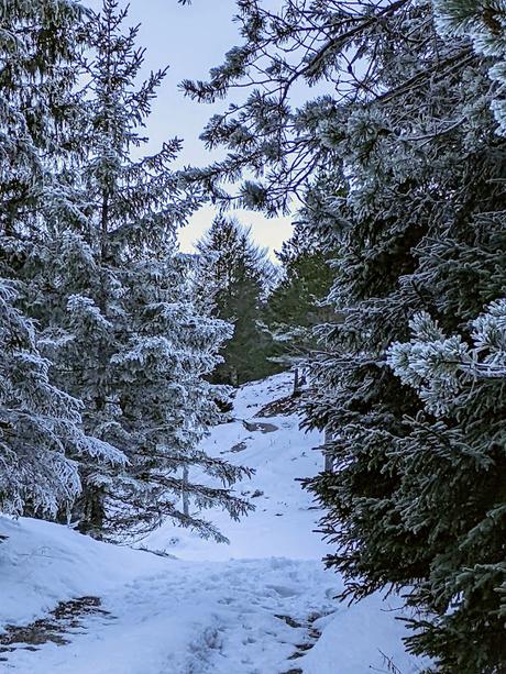 25 Fotos  Mittenwald — Lautersee — Ferchensee — Laintal — 4. Advent 2021