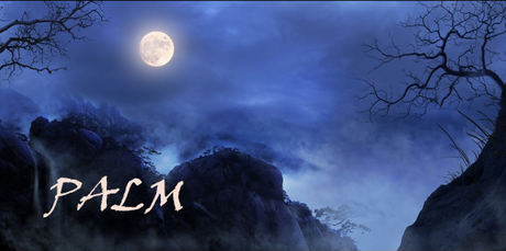 PALM #62 - Janvier 2022