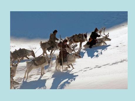 Pays Etranger - La Mongolie