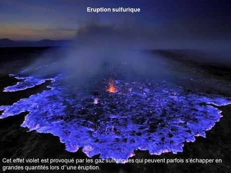 Divers - Etrange nature - 4