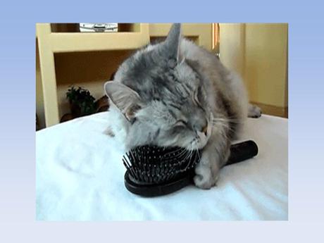 Divers - Situations burlesques et osées - 4