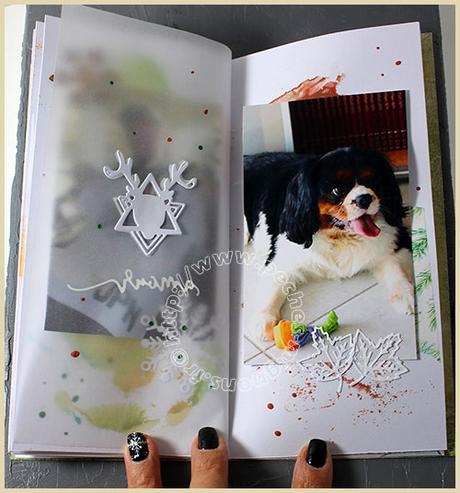 Mini album carnet #3