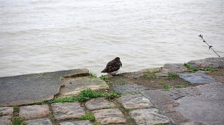 les ombres n'ont qu'à bien se tenir les ombres n'ont qu'à bien se tenir
