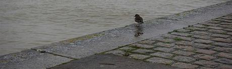 les ombres n'ont qu'à bien se tenir