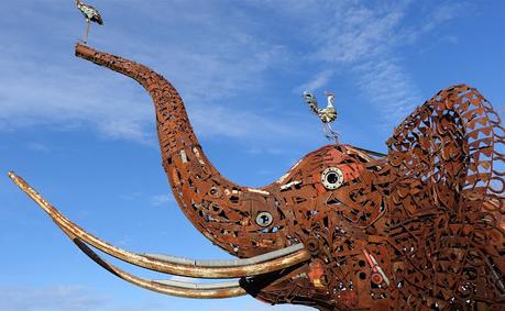 janvier, j'en viens janvier, j'en viens