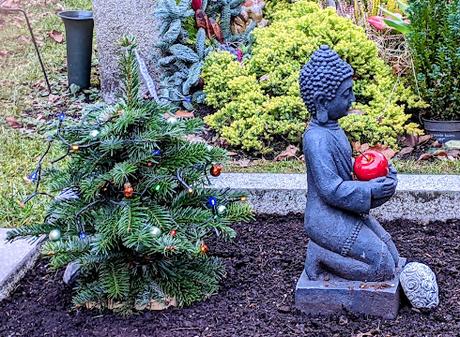 Weihnachten auf dem Friedhof — 20 Bilder / Noël au cimetière — 20 photos