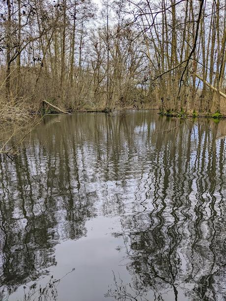 Hiddenhausen —  30 Bilder  Gut Bustedt und Naturschutzgebiet Bustedter Wiesen