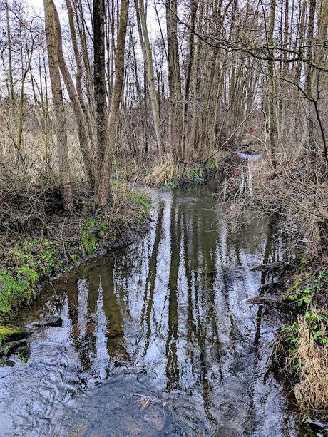 Hiddenhausen —  30 Bilder  Gut Bustedt und Naturschutzgebiet Bustedter Wiesen