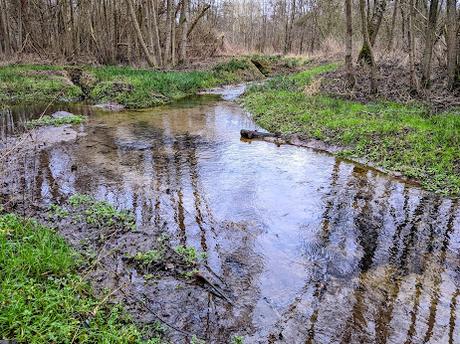 Hiddenhausen —  30 Bilder  Gut Bustedt und Naturschutzgebiet Bustedter Wiesen
