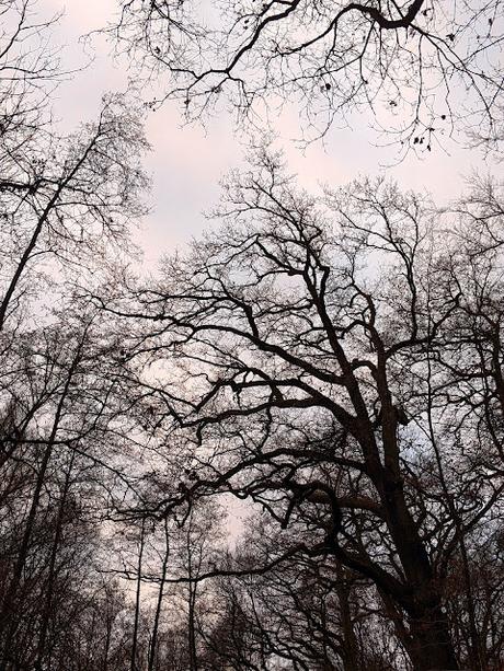 Hiddenhausen —  30 Bilder  Gut Bustedt und Naturschutzgebiet Bustedter Wiesen