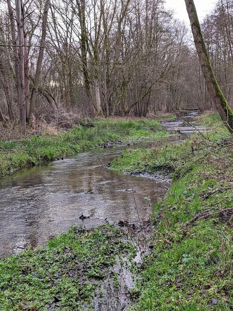 Hiddenhausen —  30 Bilder  Gut Bustedt und Naturschutzgebiet Bustedter Wiesen