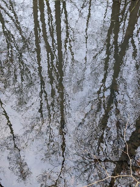 Hiddenhausen —  30 Bilder  Gut Bustedt und Naturschutzgebiet Bustedter Wiesen