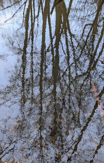 Hiddenhausen —  30 Bilder  Gut Bustedt und Naturschutzgebiet Bustedter Wiesen