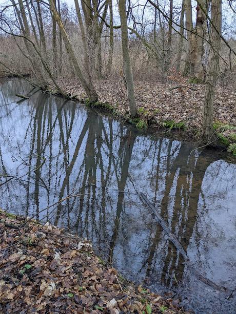 Hiddenhausen —  30 Bilder  Gut Bustedt und Naturschutzgebiet Bustedter Wiesen