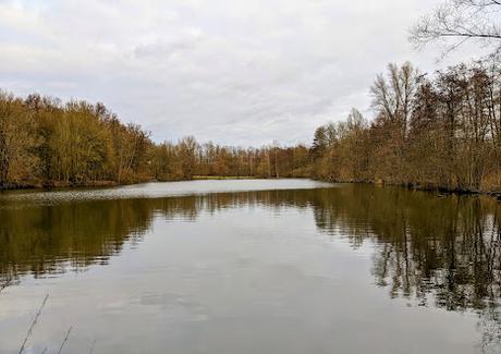 Hiddenhausen —  30 Bilder  Gut Bustedt und Naturschutzgebiet Bustedter Wiesen