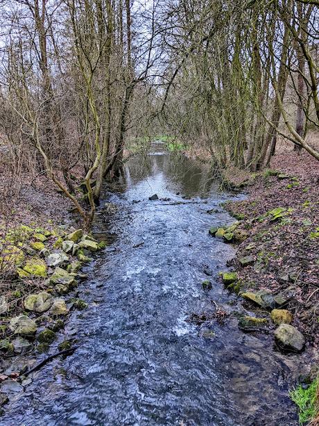Hiddenhausen —  30 Bilder  Gut Bustedt und Naturschutzgebiet Bustedter Wiesen
