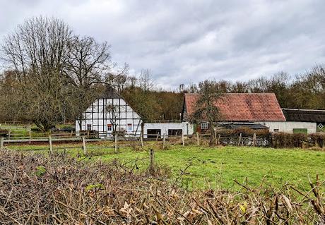 Hiddenhausen —  30 Bilder  Gut Bustedt und Naturschutzgebiet Bustedter Wiesen