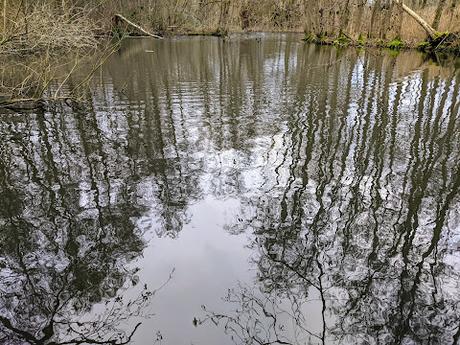 Hiddenhausen —  30 Bilder  Gut Bustedt und Naturschutzgebiet Bustedter Wiesen