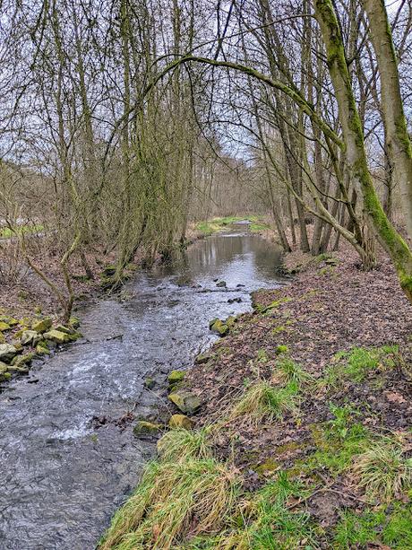 Hiddenhausen —  30 Bilder  Gut Bustedt und Naturschutzgebiet Bustedter Wiesen
