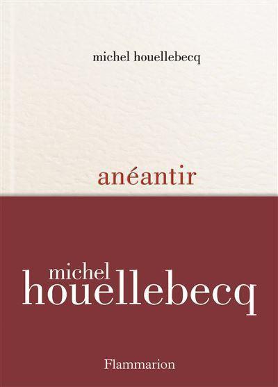 Anéantir : du grand Houellebecq !