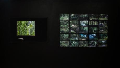 Rencontres photographiques de Guyane Rencontres photographiques de Guyane