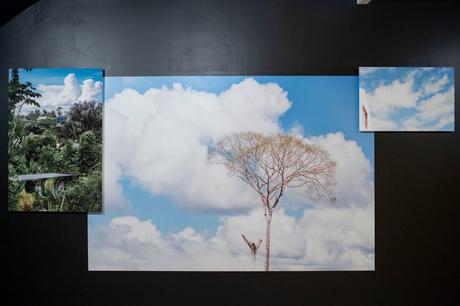 Rencontres photographiques de Guyane Rencontres photographiques de Guyane