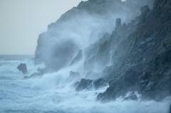 Rêverie marine Littérature