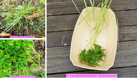 Tajine à la courge et aux Ocas du Pérou (Vegan)