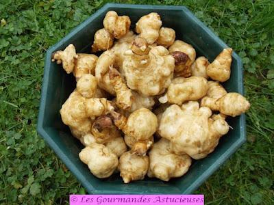 Risotto aux héliantis (ou topinambours) confits (Vegan)