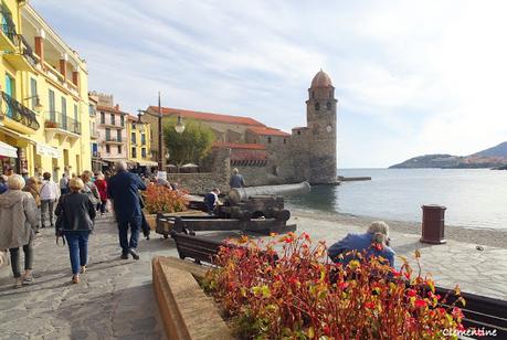 APCM Journée Collioure - Port Vendres - Paulilles