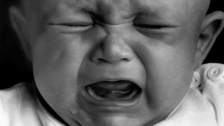 Nos Cerveaux Conspis Nos Cerveaux Conspis