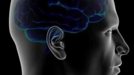 Nos Cerveaux Conspis Nos Cerveaux Conspis