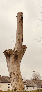 Rappelle-Moi d'Oublier Rappelle-Moi d'Oublier