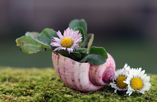 Chacun a des droits d'auteur créatifs