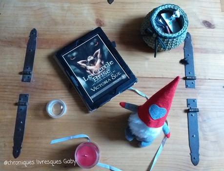 Les loups de Sirius, tome 2 : Le cercle brisé (Victoria Sue)