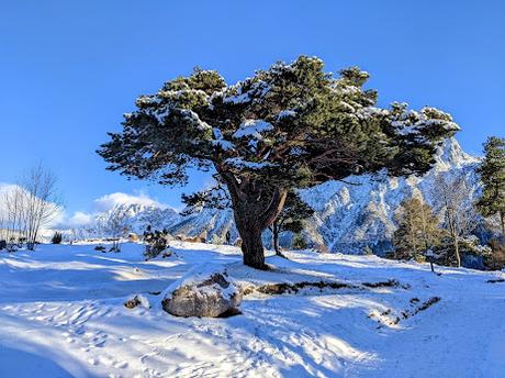 Neuschnee in Mittenwald  — 21 Bilder / photos — Mittenwald sous la nouvelle neige
