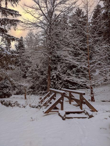 Neuschnee in Mittenwald  — 21 Bilder / photos — Mittenwald sous la nouvelle neige