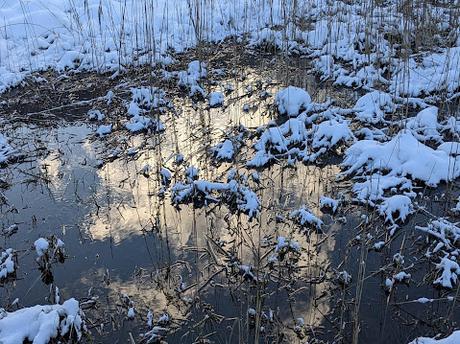 Neuschnee in Mittenwald  — 21 Bilder / photos — Mittenwald sous la nouvelle neige
