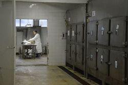 Nécrophonie - Thierry Dufrenne