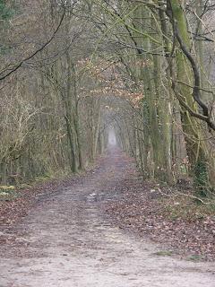 L'ennéagramme, un chemin de vie