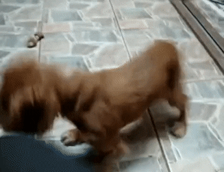 Ton Libre-Choix est Notre Menace Ton Libre-Choix est Notre Menace