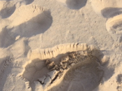 Hélène Sanguinetti voici chanson